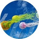 Emanuela profile picture